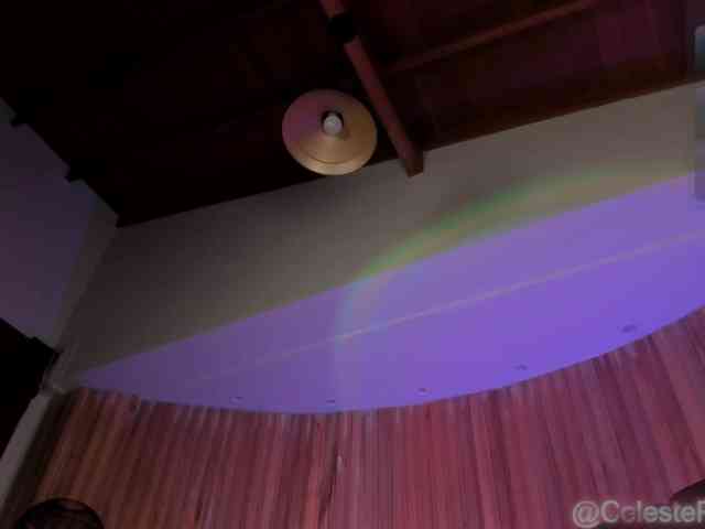 CelestePalmer webcam