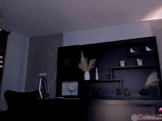 CelestePalmer webcam