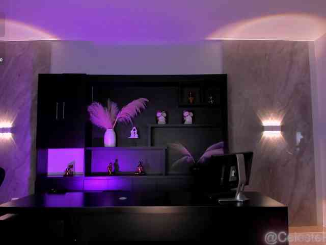 CelestePalmer webcam