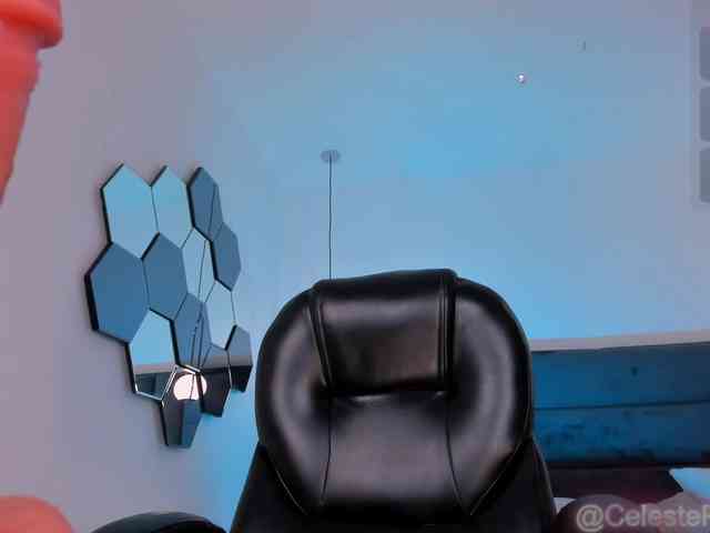 CelestePalmer webcam