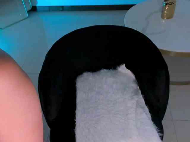 CelestePalmer webcam