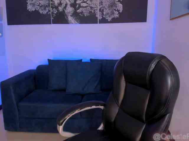 CelestePalmer webcam