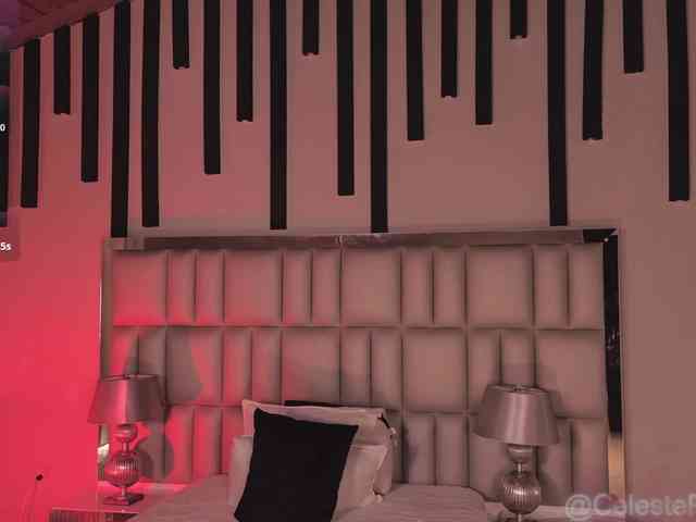 CelestePalmer webcam