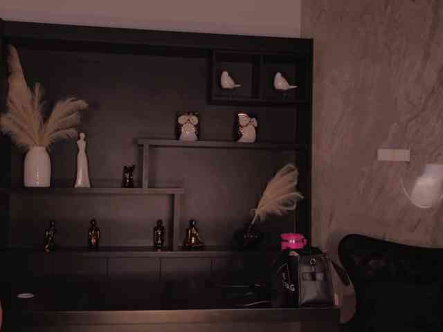 CelestePalmer webcam