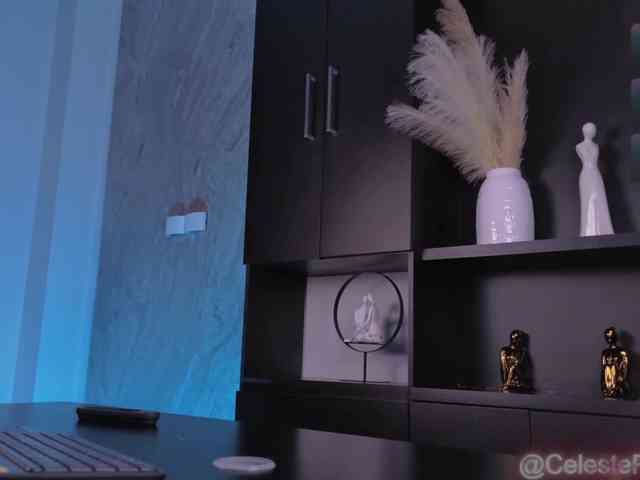 CelestePalmer webcam