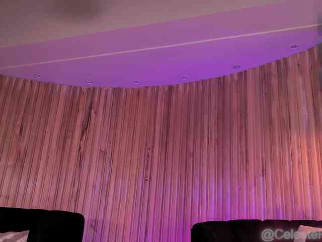 CelestePalmer webcam