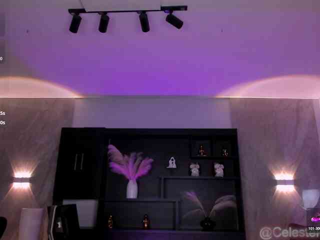 CelestePalmer webcam