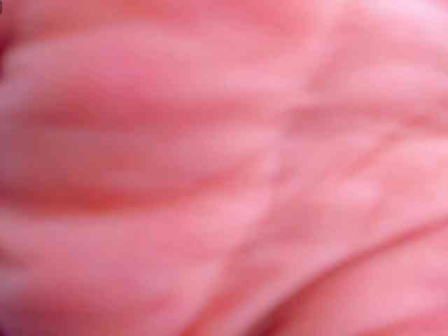 CelestePalmer webcam