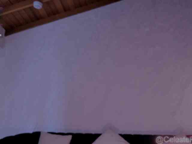 CelestePalmer webcam