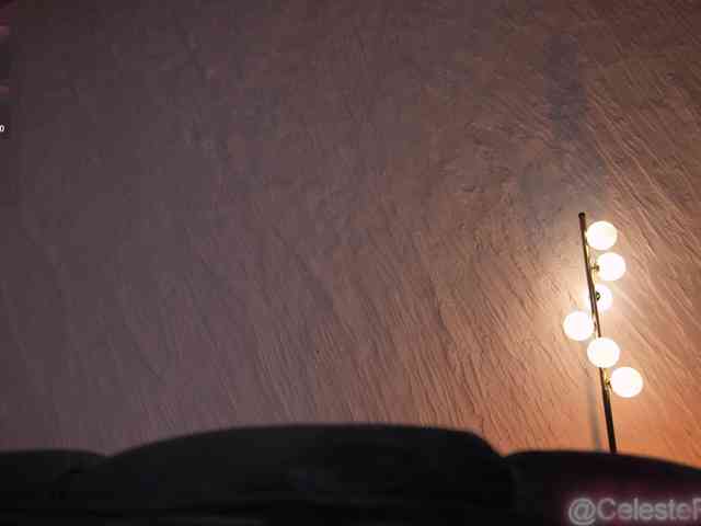 CelestePalmer webcam