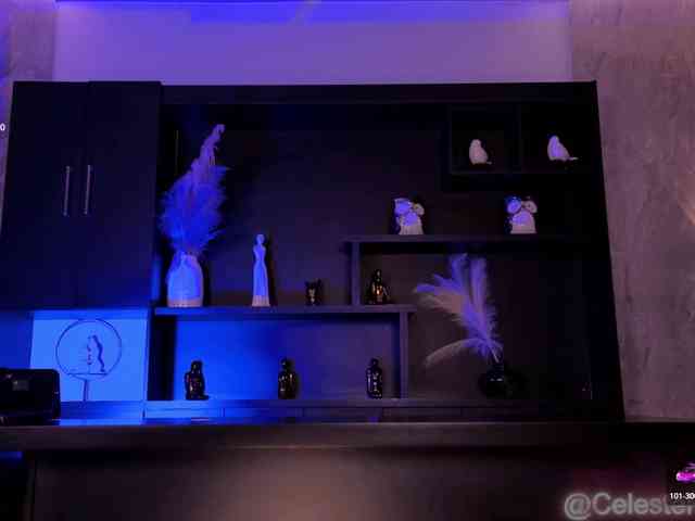 CelestePalmer webcam