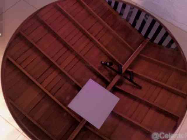 CelestePalmer webcam