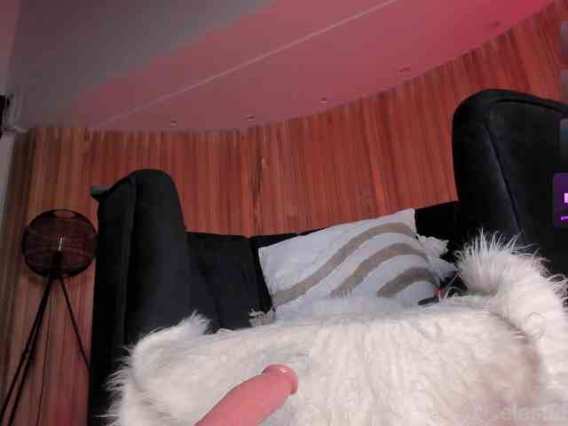 CelestePalmer webcam