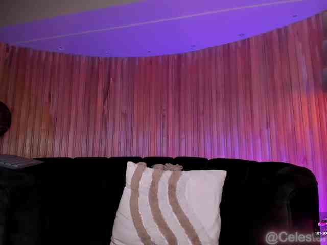 CelestePalmer webcam