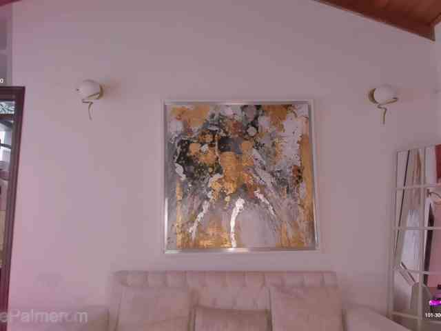 CelestePalmer webcam