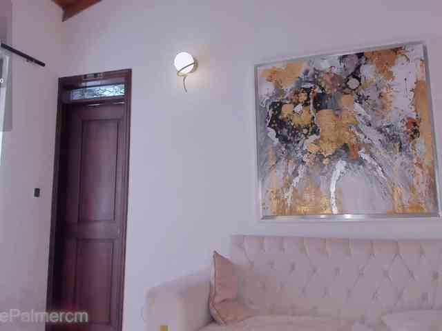 CelestePalmer webcam