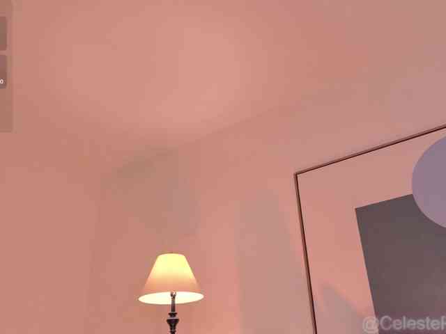 CelestePalmer webcam