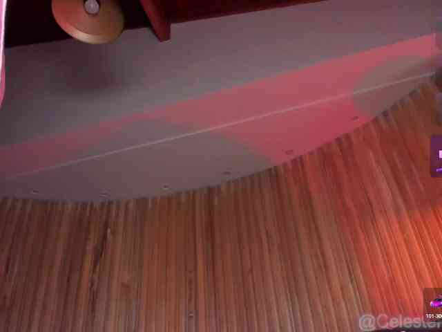 CelestePalmer webcam