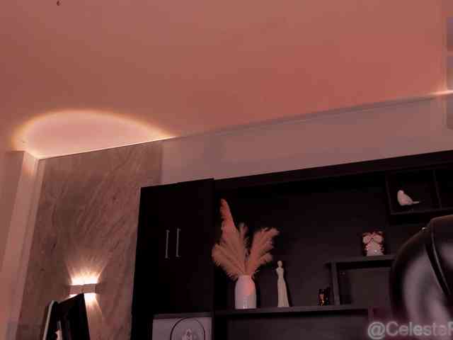 CelestePalmer webcam