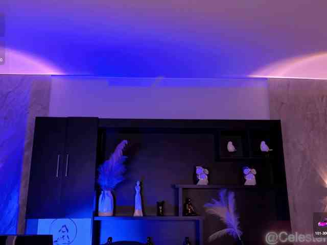 CelestePalmer webcam