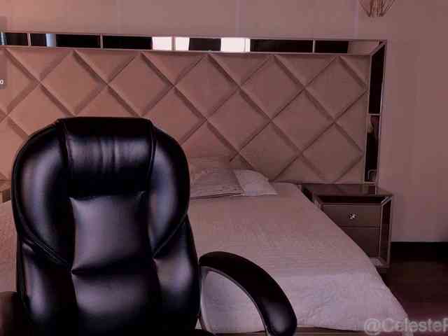 CelestePalmer webcam
