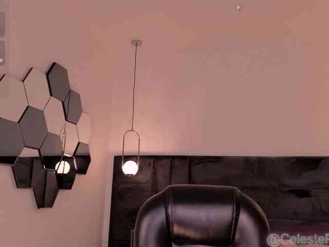 CelestePalmer webcam