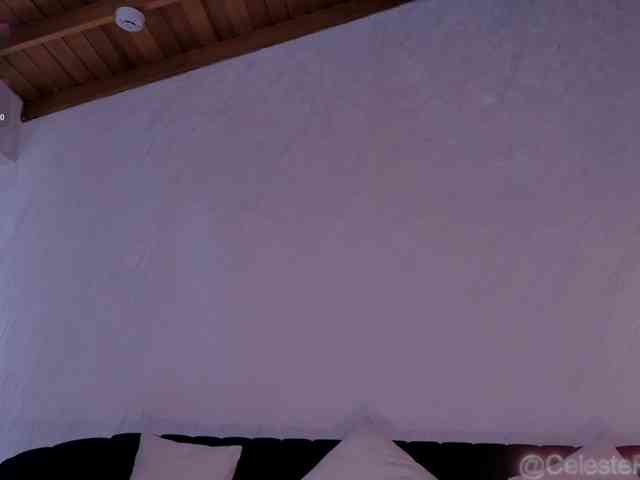 CelestePalmer webcam
