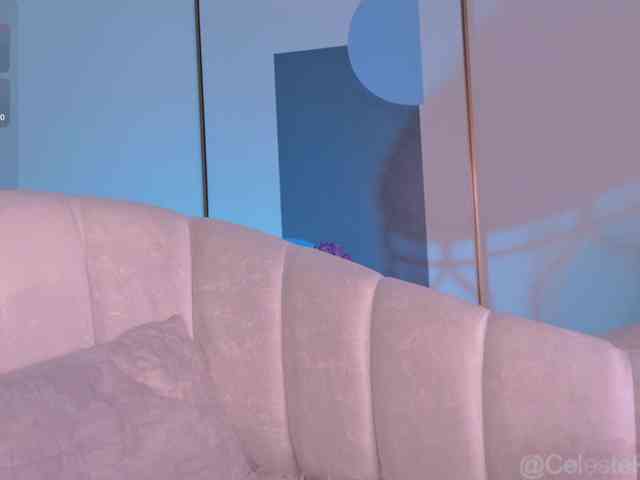 CelestePalmer webcam