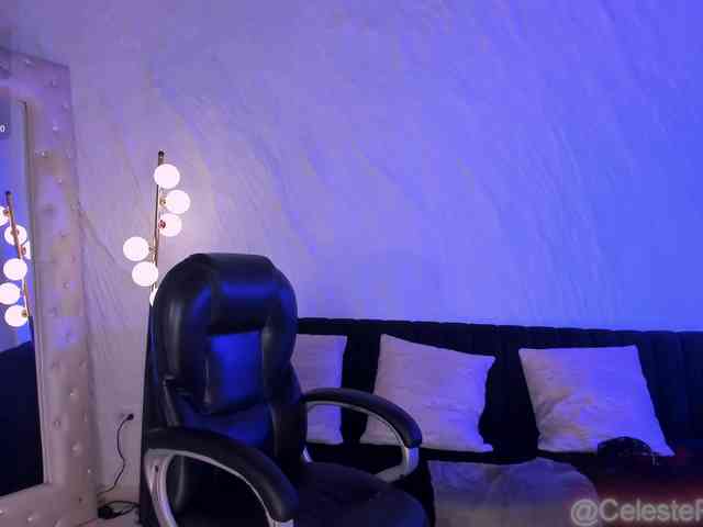CelestePalmer webcam
