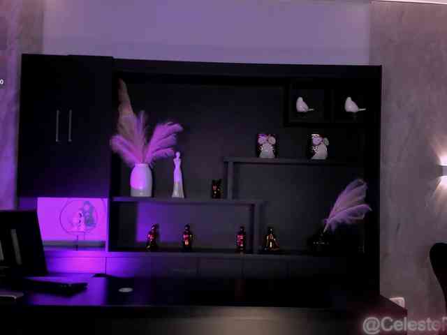 CelestePalmer webcam