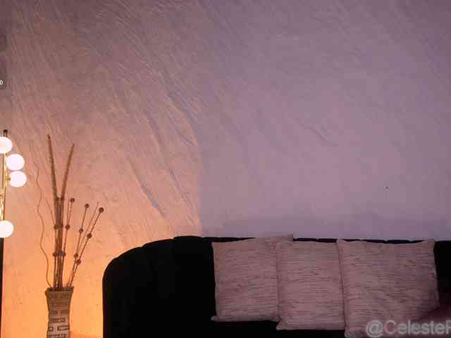 CelestePalmer webcam