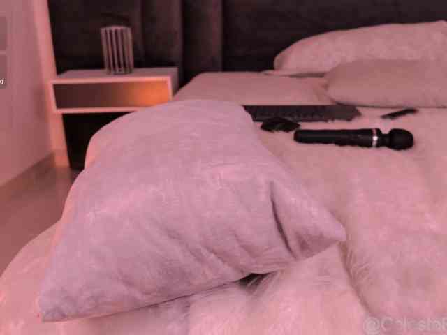 CelestePalmer webcam
