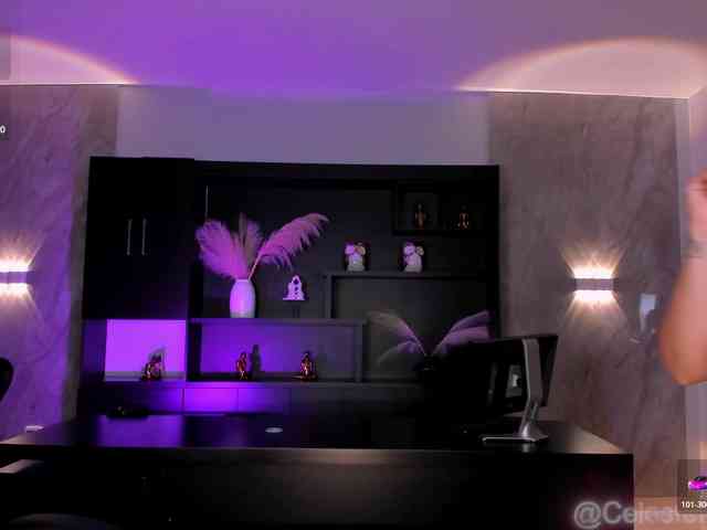 CelestePalmer webcam