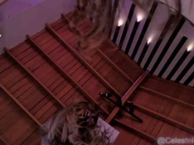 CelestePalmer webcam