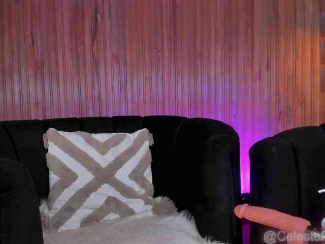 CelestePalmer webcam