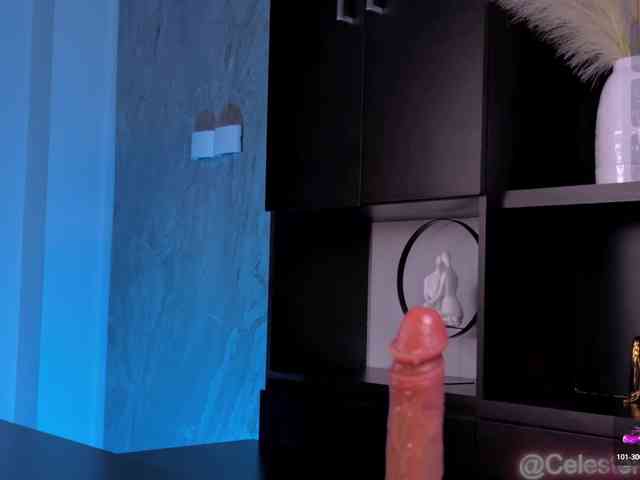 CelestePalmer webcam