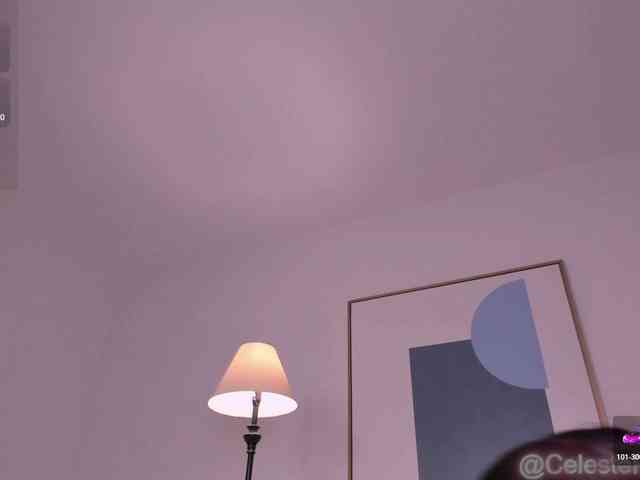 CelestePalmer webcam