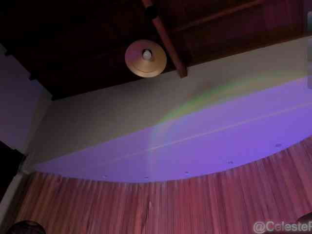 CelestePalmer webcam