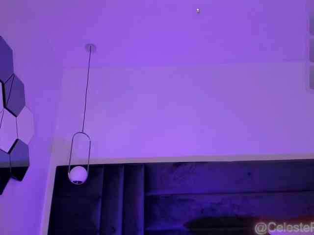 CelestePalmer webcam