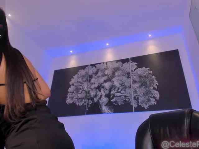 CelestePalmer webcam
