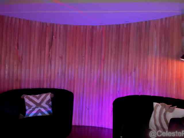 CelestePalmer webcam