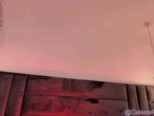 CelestePalmer webcam