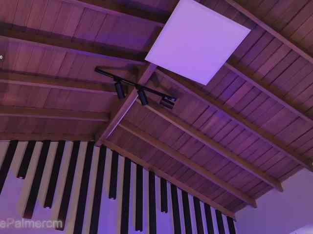 CelestePalmer webcam