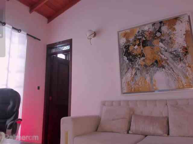 CelestePalmer webcam