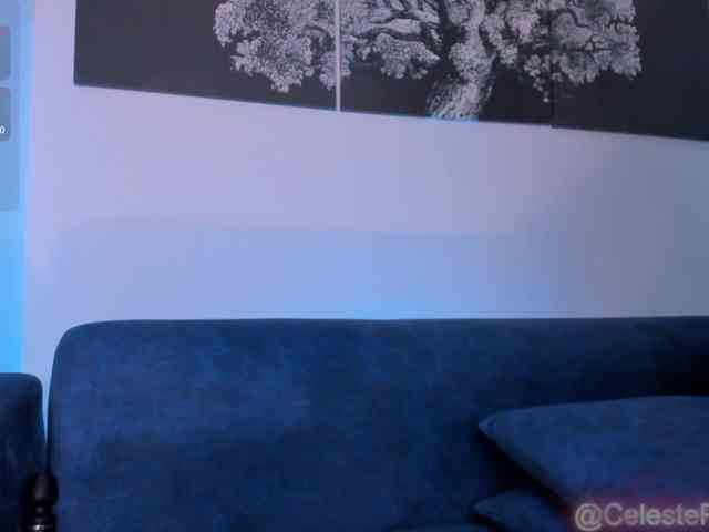 CelestePalmer webcam