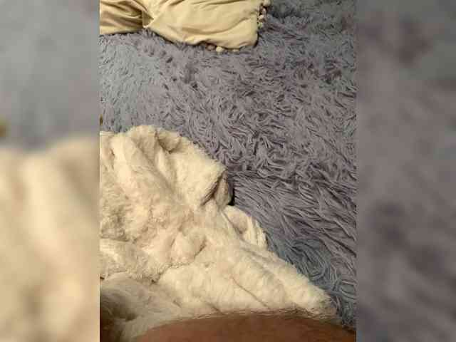 Malvina-Buratino webcam