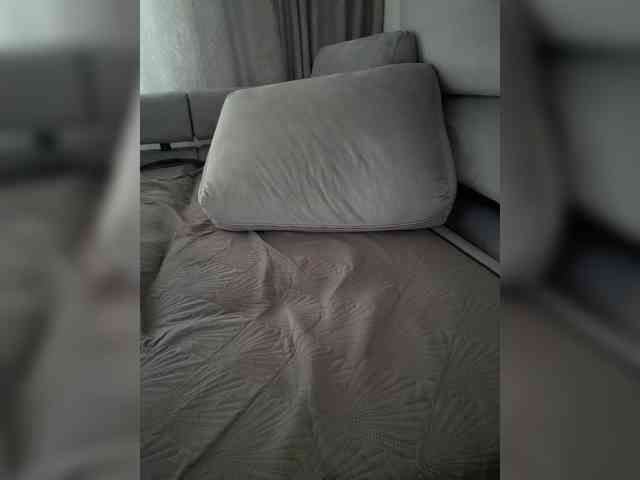 ------_ webcam