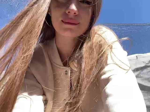 Модель: -_-_--------