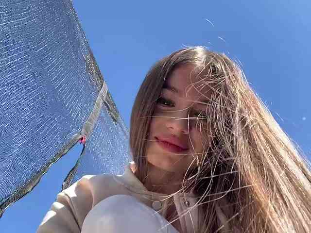 Модель: -_-_--------