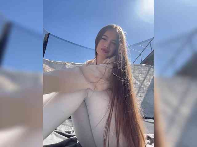 Модель: -_-_--------